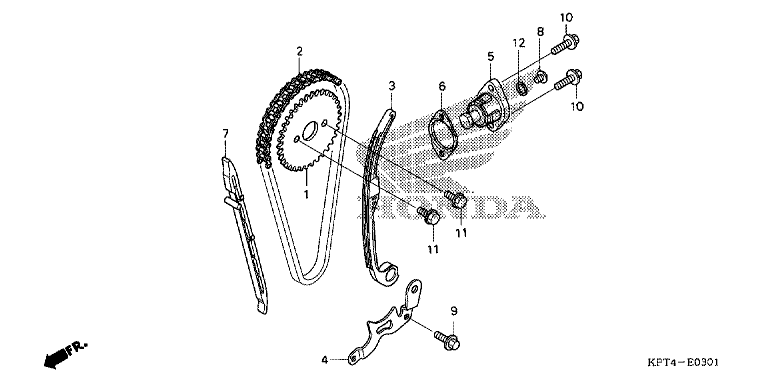 CAM CHAIN/TENSIONER ('06-'11)