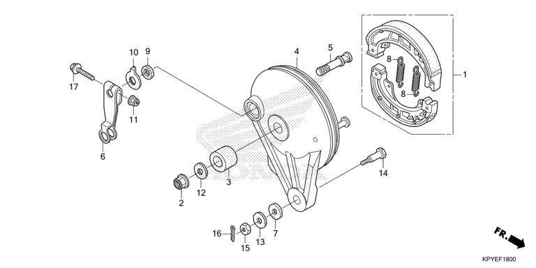 REAR BRAKE PANEL