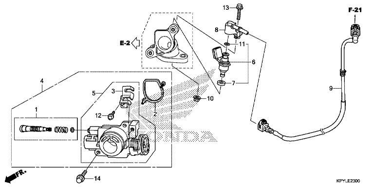 THROTTLE BODY