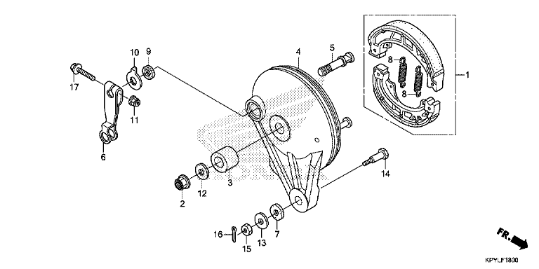 REAR BRAKE PANEL