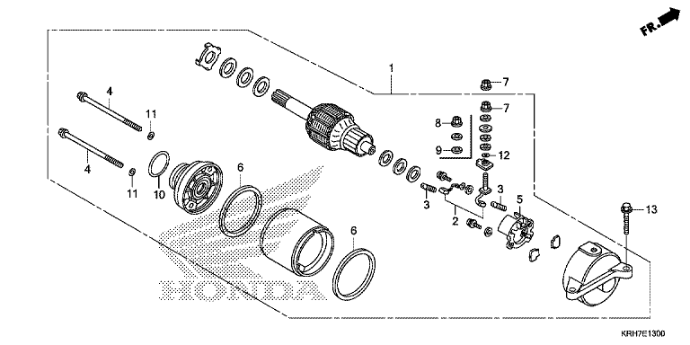 STARTER MOTOR (1)