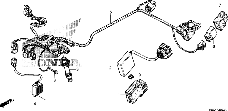 WIRE HARNESS