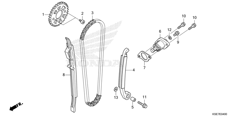 CAM CHAIN/TENSIONER