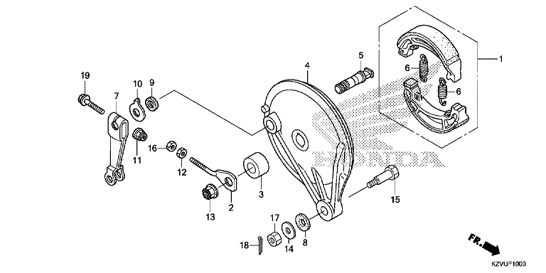 REAR BRAKE PANEL