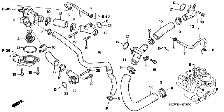 WATER HOSE