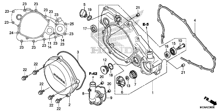 RIGHT CRANKCASE COVER/WATER PUMP