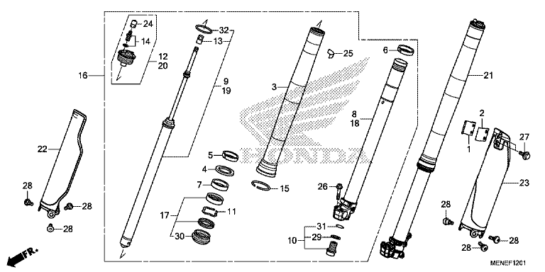 FRONT FORK (F/G)