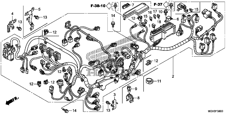 WIRE HARNESS