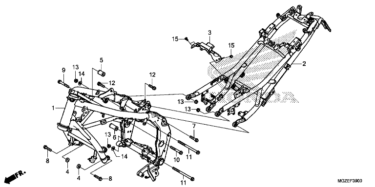 FRAME BODY