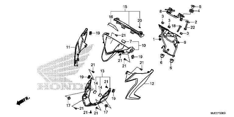 GAUGE VISOR (1)