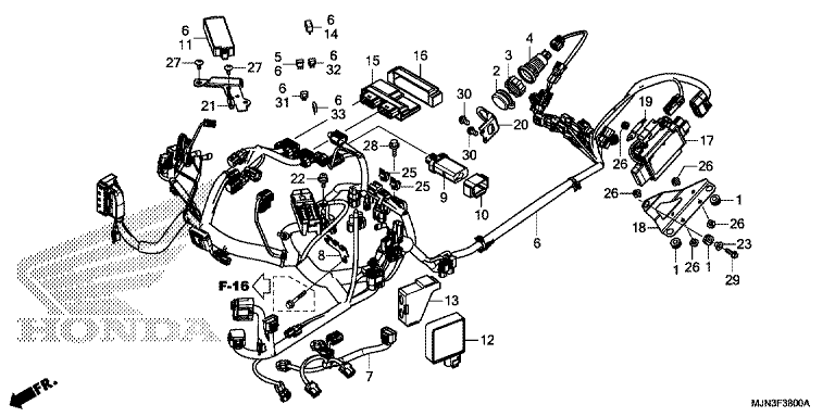 WIRE HARNESS
