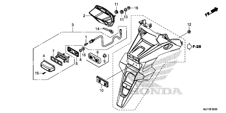 TAILLIGHT/LICENSE LIGHT