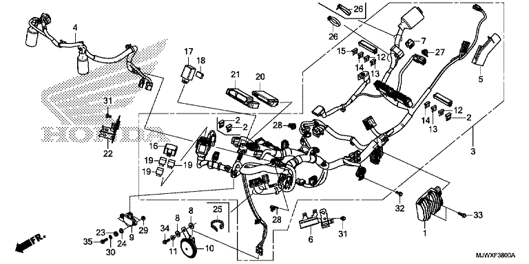 WIRE HARNESS