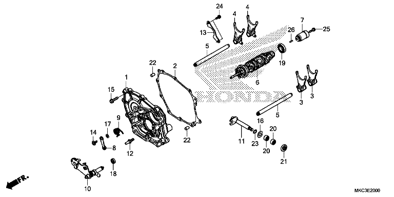 SHIFT DRUM/SHIFT FORK
