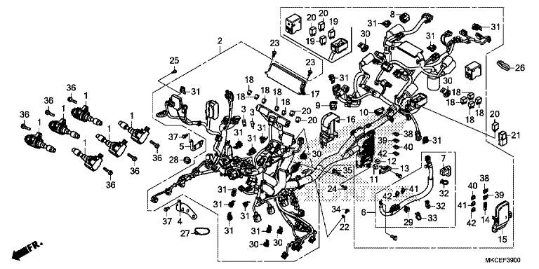 WIRE HARNESS