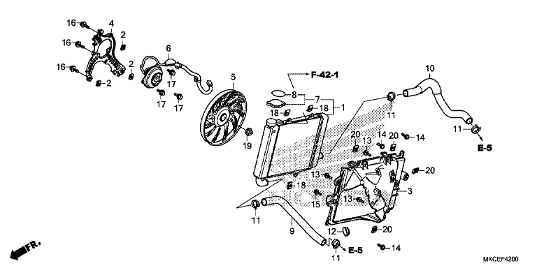 RADIATOR (R.)