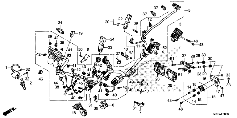 WIRE HARNESS
