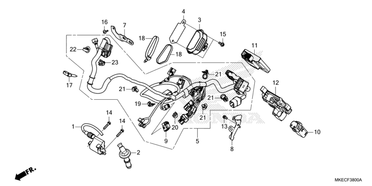 WIRE HARNESS