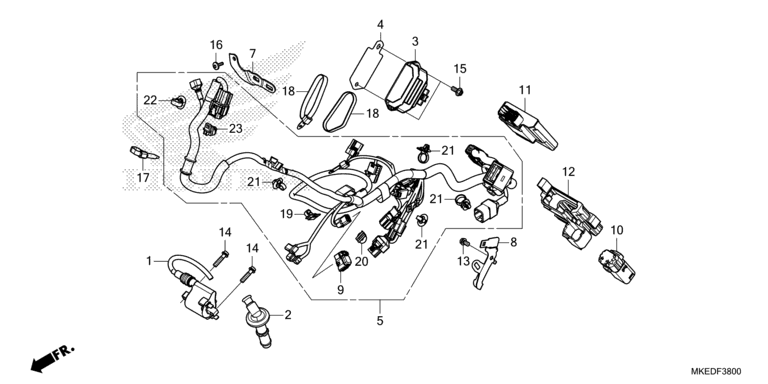WIRE HARNESS