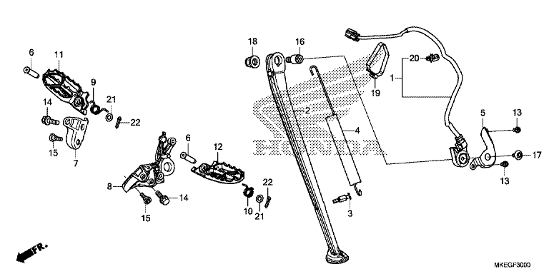 FOOTPEG/FOOTREST/STAND