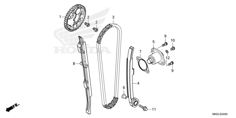CAM CHAIN/TENSIONER