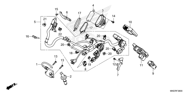 WIRE HARNESS