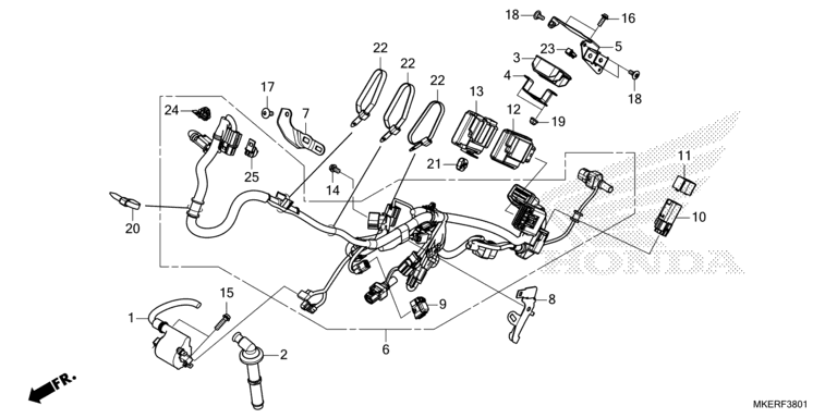 WIRE HARNESS (CRF450RS/RWES/RXS)