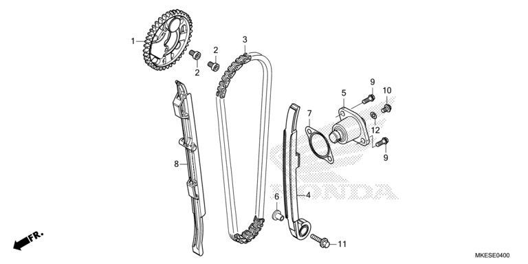 CAM CHAIN/TENSIONER