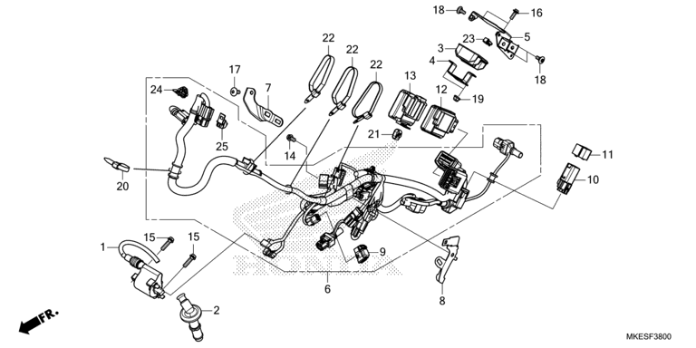WIRE HARNESS