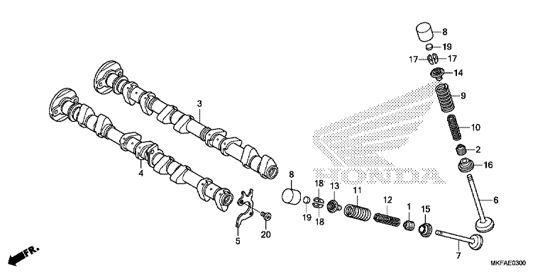 CAMSHAFT/VALVE