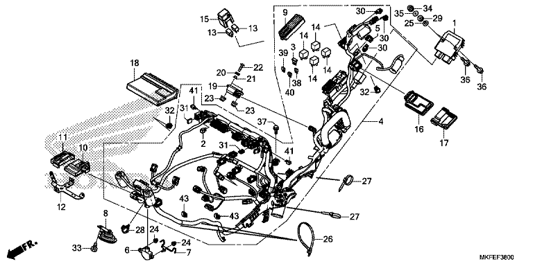 WIRE HARNESS