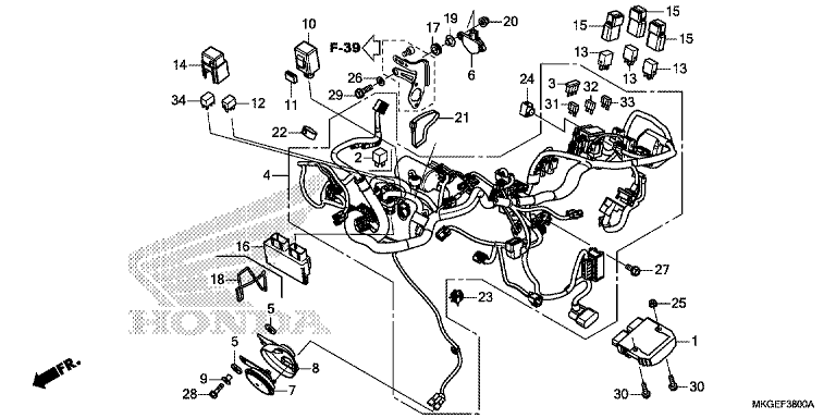 WIRE HARNESS