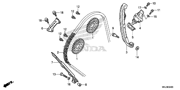 CAM CHAIN/TENSIONER