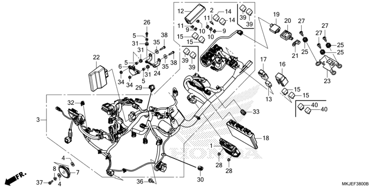 WIRE HARNESS