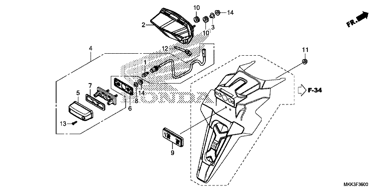 TAILLIGHT/LICENSE LIGHT