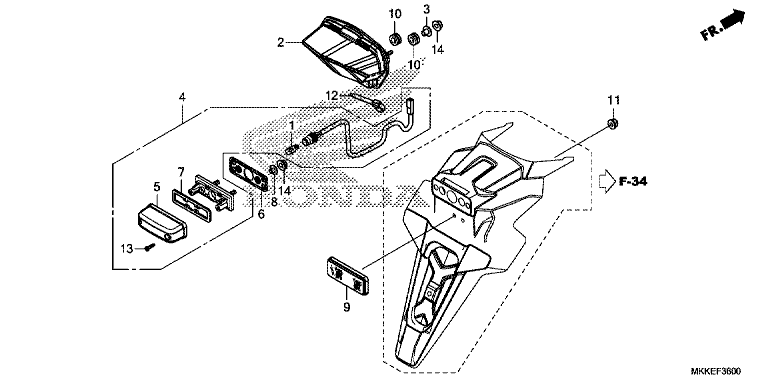 TAILLIGHT/LICENSE LIGHT