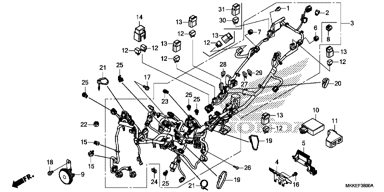 WIRE HARNESS