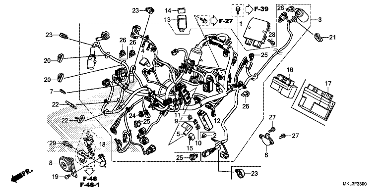 WIRE HARNESS