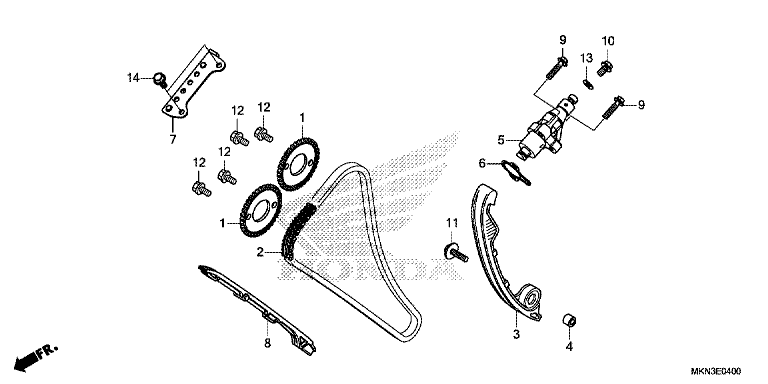 CAM CHAIN/TENSIONER