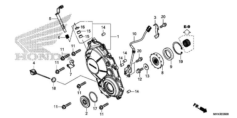 RIGHT CRANKCASE COVER