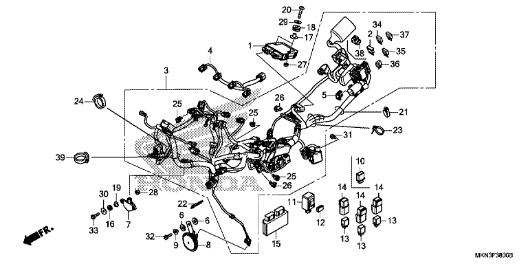 WIRE HARNESS