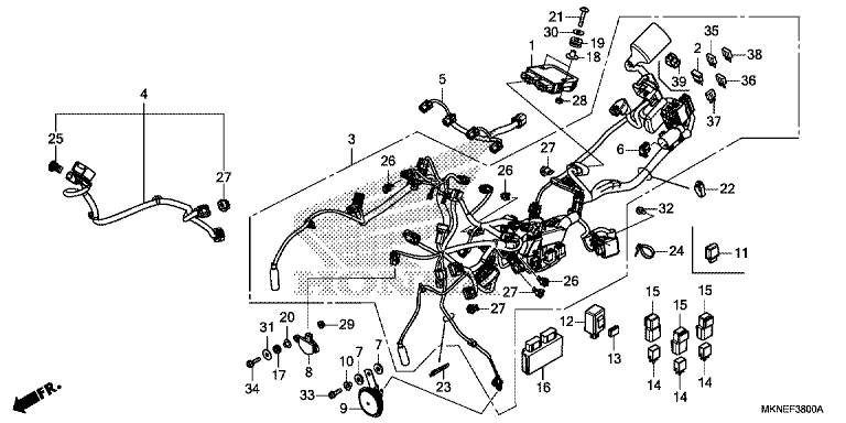 WIRE HARNESS