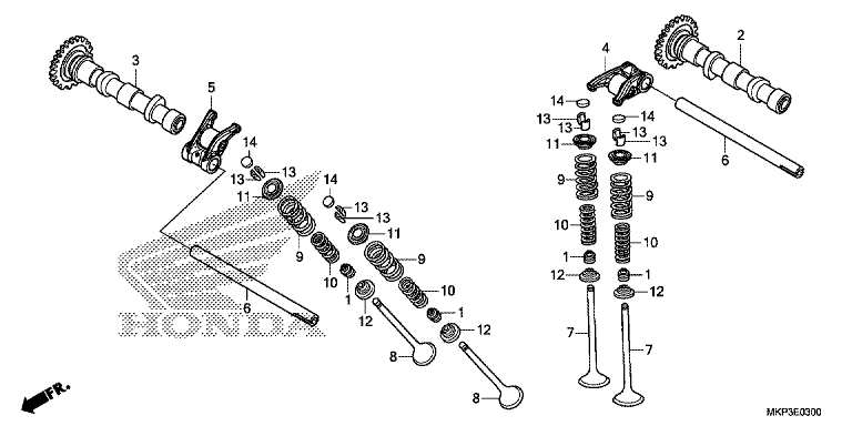 CAMSHAFT/VALVE