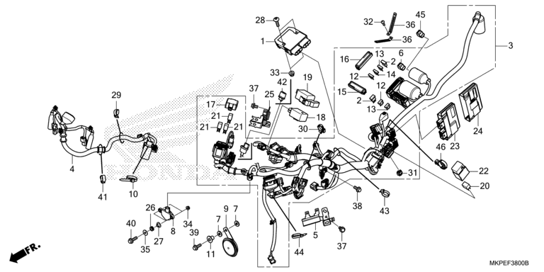 WIRE HARNESS