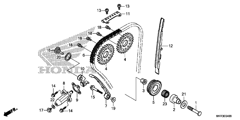 CAM CHAIN/TENSIONER