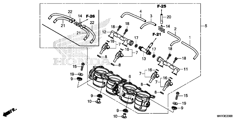 THROTTLE BODY