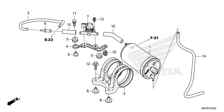 CANISTER