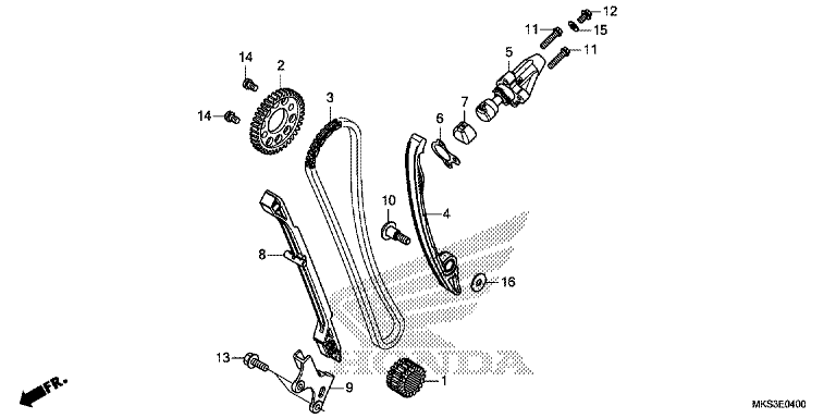 CAM CHAIN/TENSIONER