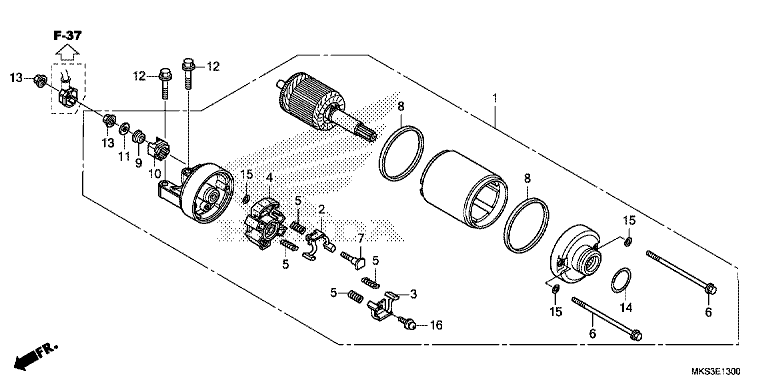STARTER MOTOR