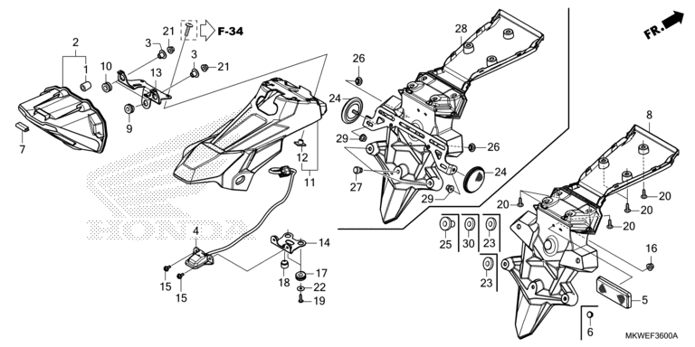 TAILLIGHT/LICENSE LIGHT